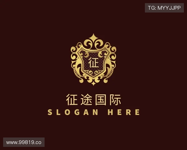 评述征途国际
